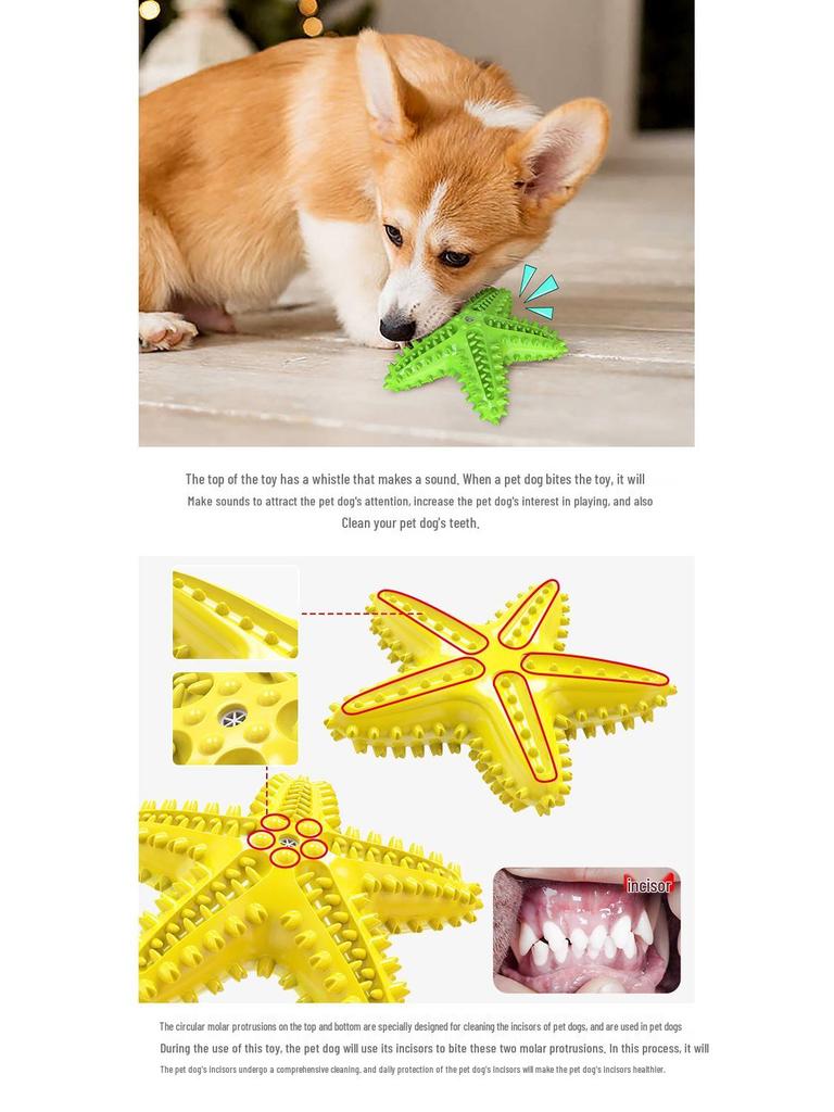 Dog Starfish Teething Toy & Toothbrush: Pet-Friendly Chew Stick