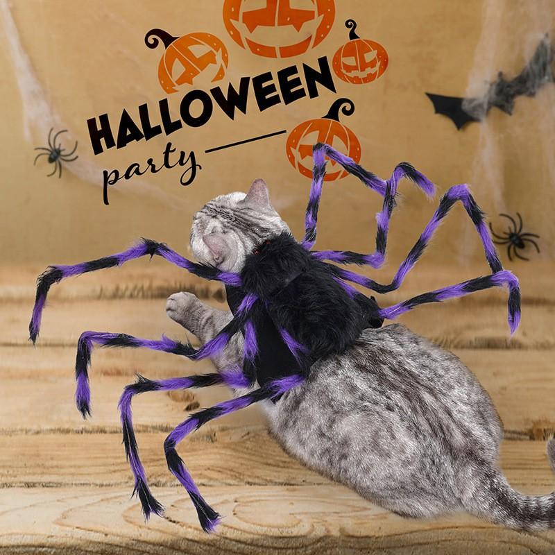 Halloween Pet Costume Spider Transformation Outfit Dogs Cats Universal Size S M L Gray Brown Black Purple