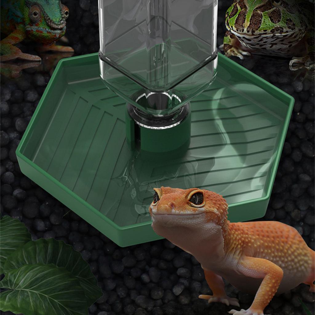 Reptilien Wassernapf Futternapf Wasserflasche für Reptilien Haustier Rutschfest Automatischer Wasserspender für Echsen