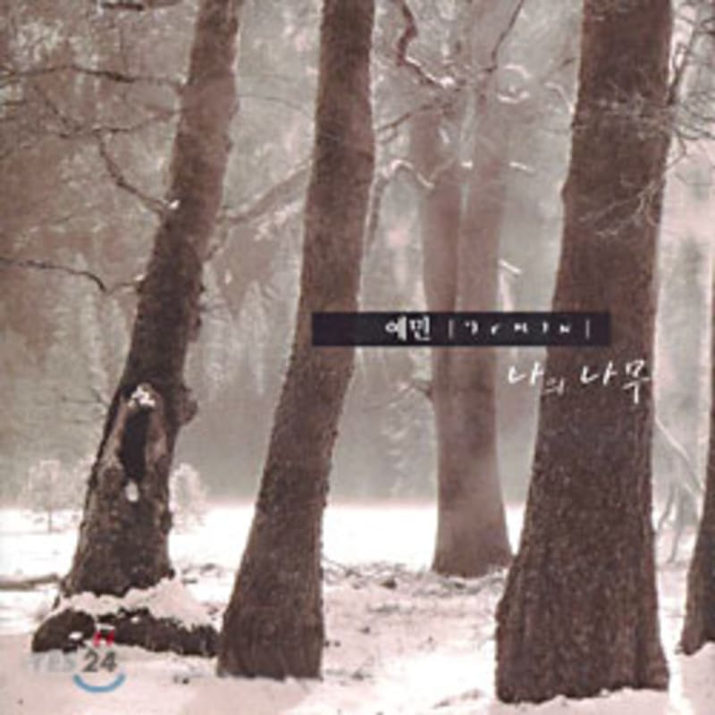 

Yemin 4th Album - My Tree