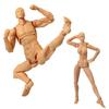 Attraktive Zeichenfiguren Body-chan und Body-kun Maßstab 1/12 Figur Puppe Posenfähige Figur Manga Illustration Zeichenpuppe Basis Körper Männlich F
