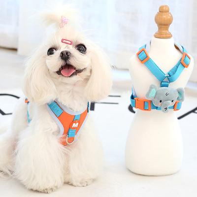 Perros – Collares y correas