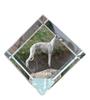 Whippet – Crystal Cube with a Photo, Photo of a Horse In Crystal |