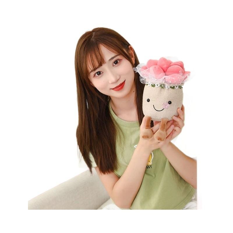Succulent Plant Plush Doll Cartoon Potted Child Toy Room Decoration Gift Holiday