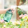 Annaffiatoio da 500 ml per la Casa, Grande Capacità, Spruzzino per Piante, Annaffiatoio per Semina Primaverile, Annaffiatoio a Spruzzo, Accessori da Giardinaggio