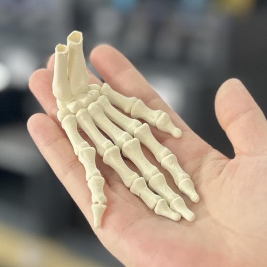 Halloween Skjeletthånd 3D-printet Plast Menneskehånd Beinmodell Skumle Halloween Triks Rekvisitter for Borddekking Festartikler Spøkelseshus Hjemmedekor