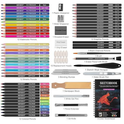 HIFORNY 176-Piece Art Supplies Drawing Kit with 100 Sheets, 3-Color Sketchbook, Graphite, Charcoal, Watercolor & Metallic Pencils, Blending Tools, and