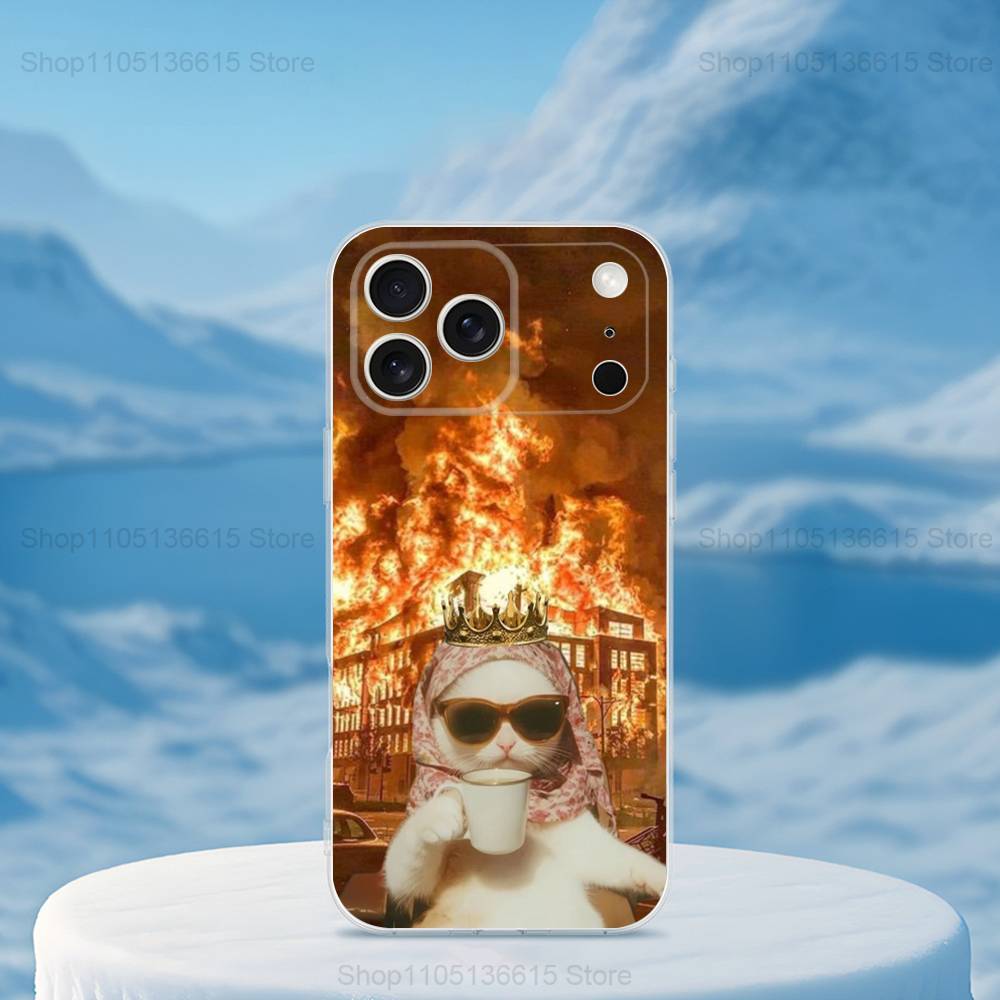 

Funny Art Cat Memes Phone Case For iPhone 16,15,14,13,12,11,17 Pro,Max,Plus,X,XS,XR,SE,Mini Transparent Soft Cover iPhone13