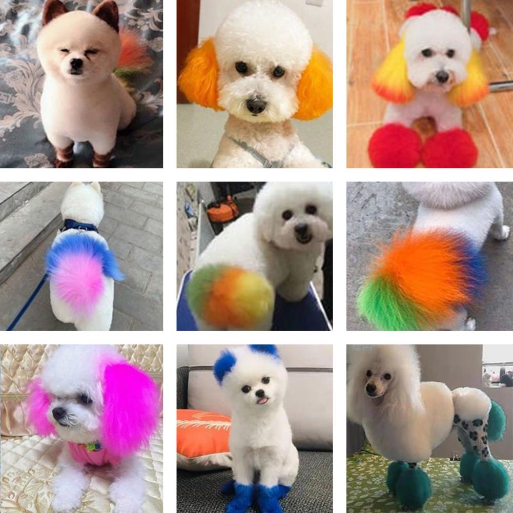 100ml Crème Colorante pour Animaux Longue Durée Coloration Cheveux Chien Non Irritante Extraits Naturels Colorant Cheveux Chat Chien Accessoires pour Animaux