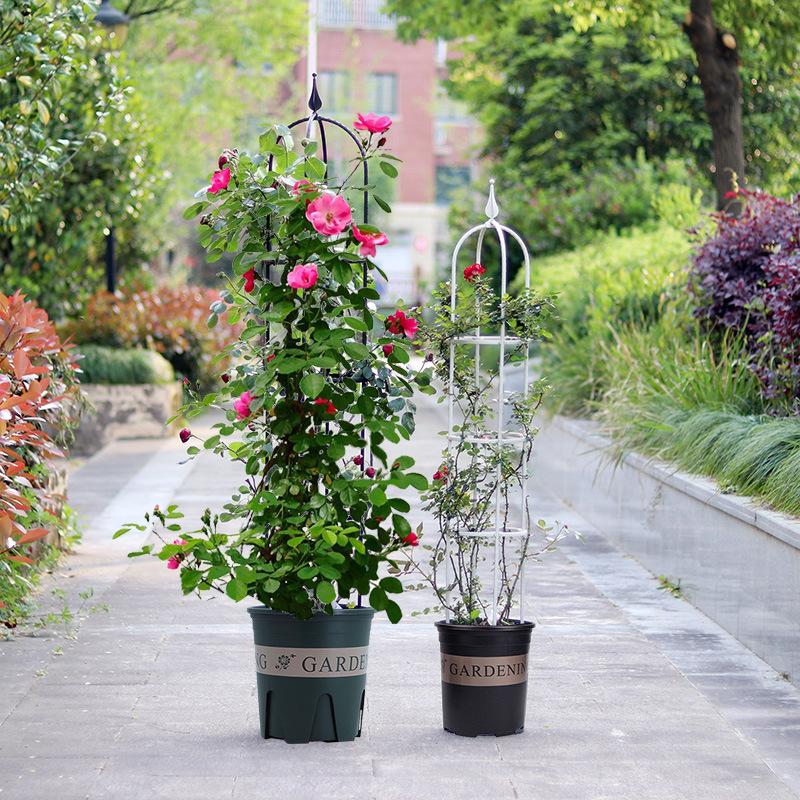 European Rose Flower Balcony Rack - Plant Support for Climbing Clematis
