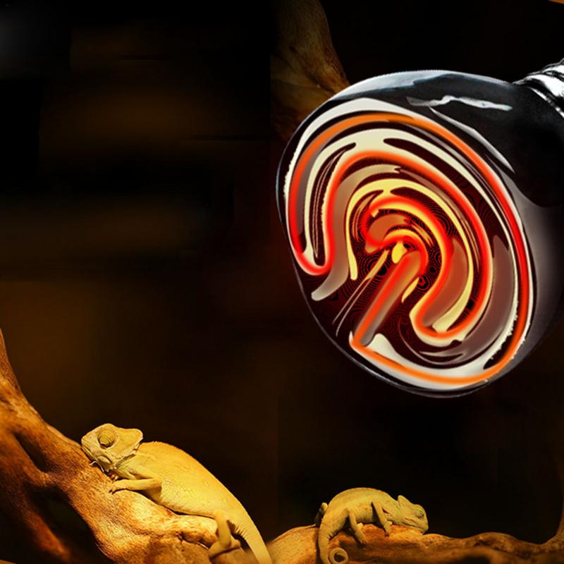 Keramický tepelný zářič Žárovka tepelného zdroje pro plazy, nevyzařující světlo Brooder Coop Heater pro obojživelníky a inkubující kuře