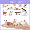 Pvc Cat Statue Set For Collectors Short Hair Persian Norwegian Burmese Animal Figurines For Display