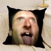 Funny Meme Music D-Daniel Larson 2 Pillow Case Natural Linen Double-Sided Printing Sofa Home Decor Cushion Cover