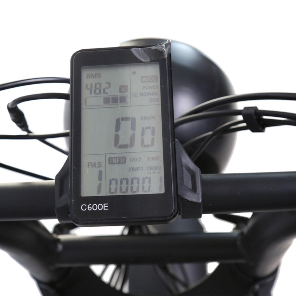 TXED Motorcycles for Adult 20inch with 250W Motor and 48V15.6AH Battery