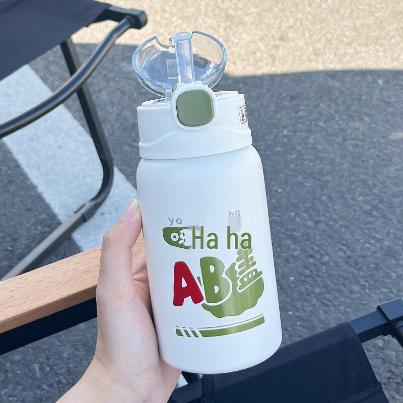 TLAKEHO Insulated Portable Water Bottle with Straw and Strap