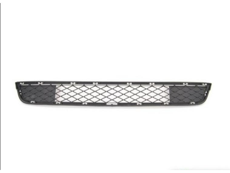 Front Lower Bumper Grille for BMW X3 F25 (51117210465)