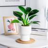 Flower Pot Self Watering Plastic Flowerpot Cotton Rope Watering Small Succulent Plant Pot Modern Decoration Home Bonsai Decor