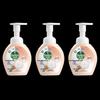 Dettol Foaming Antibacterial Hand Wash, Grapefruit Scent, 3 X 250ml