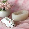 Succulents Planter Resins Molds Cute Dog Flower Pots Silicones Molds DIY Candle Holder Storage Box Molds Castings Mould