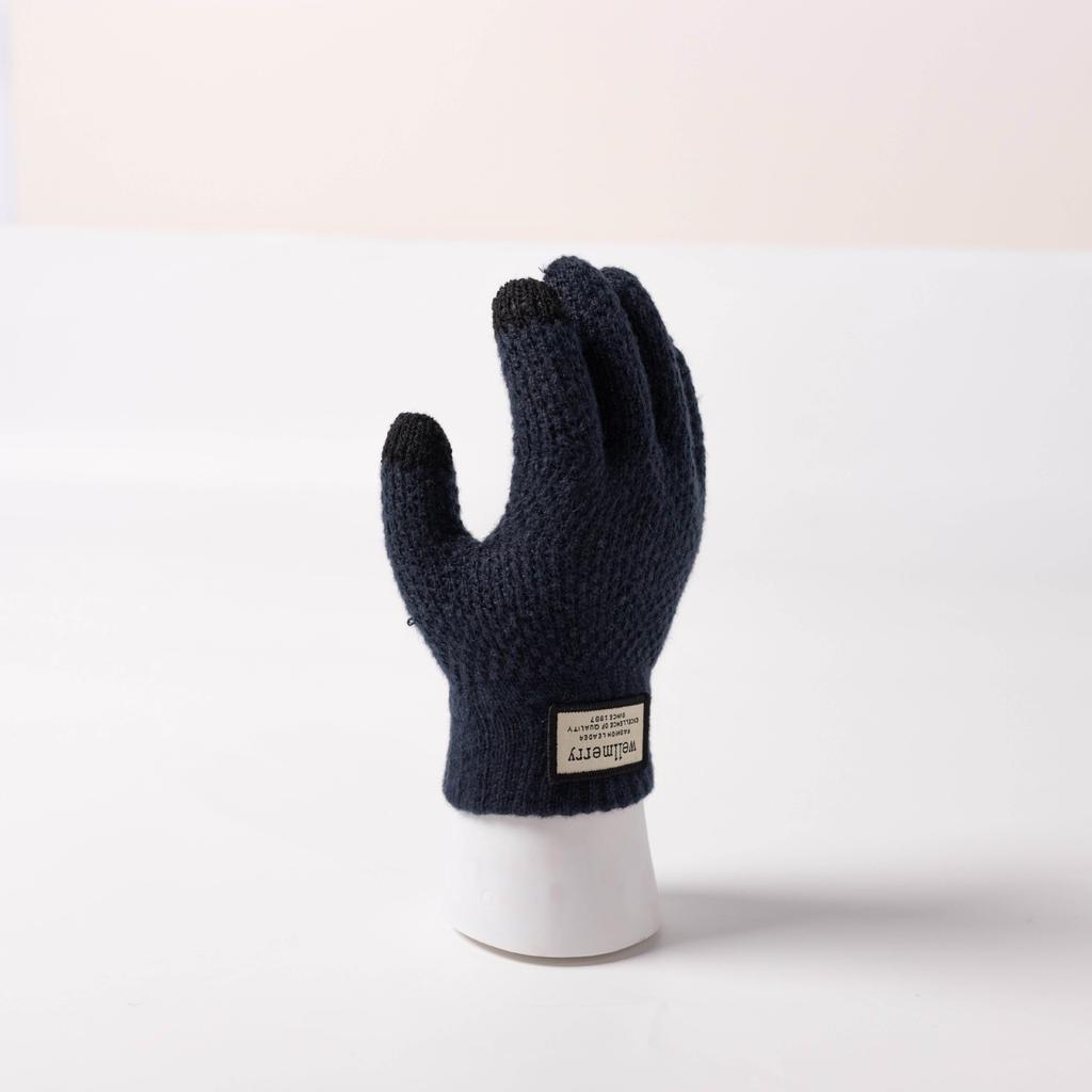 New Autumn and Winter Thickened Gloves Korean Style Cold-proof Cycling Touch Screen Warm Wool Knitted Gloves