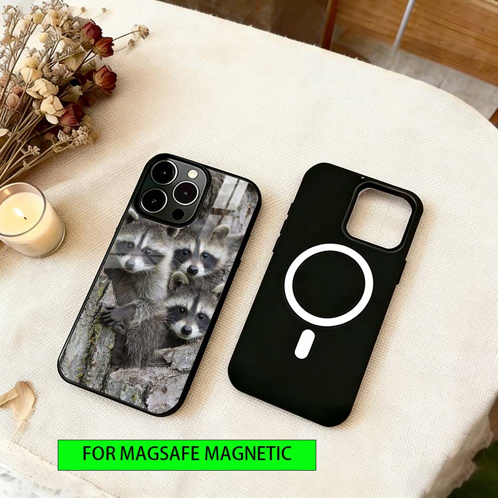 Cute Raccoon Phone Case For iPhone17,16,15,14,13,12,11 Plus,Pro Magnetic with Magsafe Wireless Charging