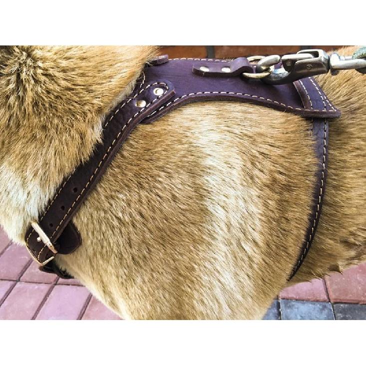 Pet Products Genuine Leather Dog Vest Harness For Medium Large Dog Pets Professional Dog Vest Collar Hand Chest Straps