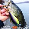 Lucky Craft USA SKT 110 Magnum MR Fishing Lure Crankbait TO (137 Craw)