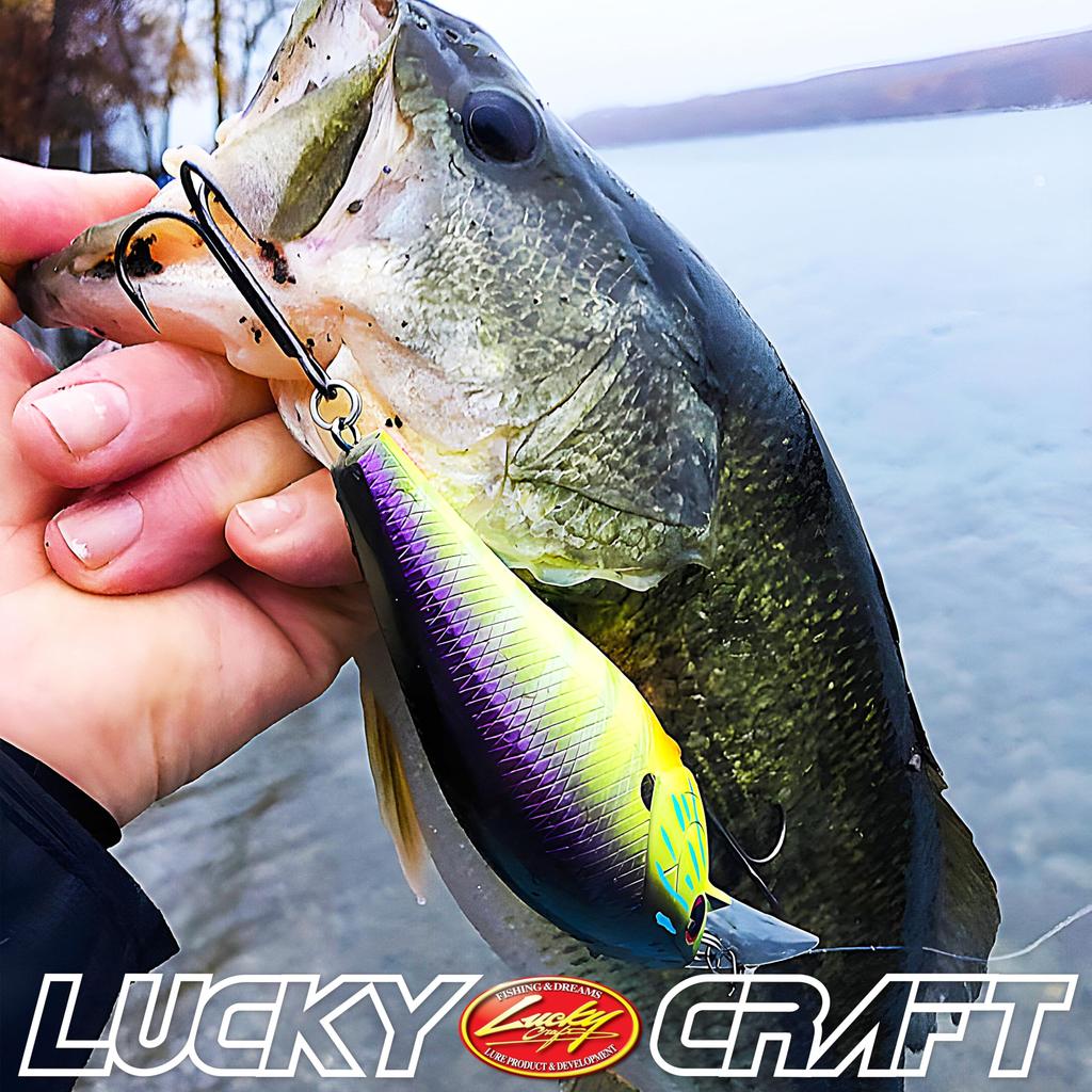 Lucky Craft USA SKT 110 Magnum MR Fishing Lure Crankbait TO (137 Craw)