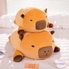 Capybara Hugging Pillow Plush Toy - Cute & Comfy Sleep Doll for Girls