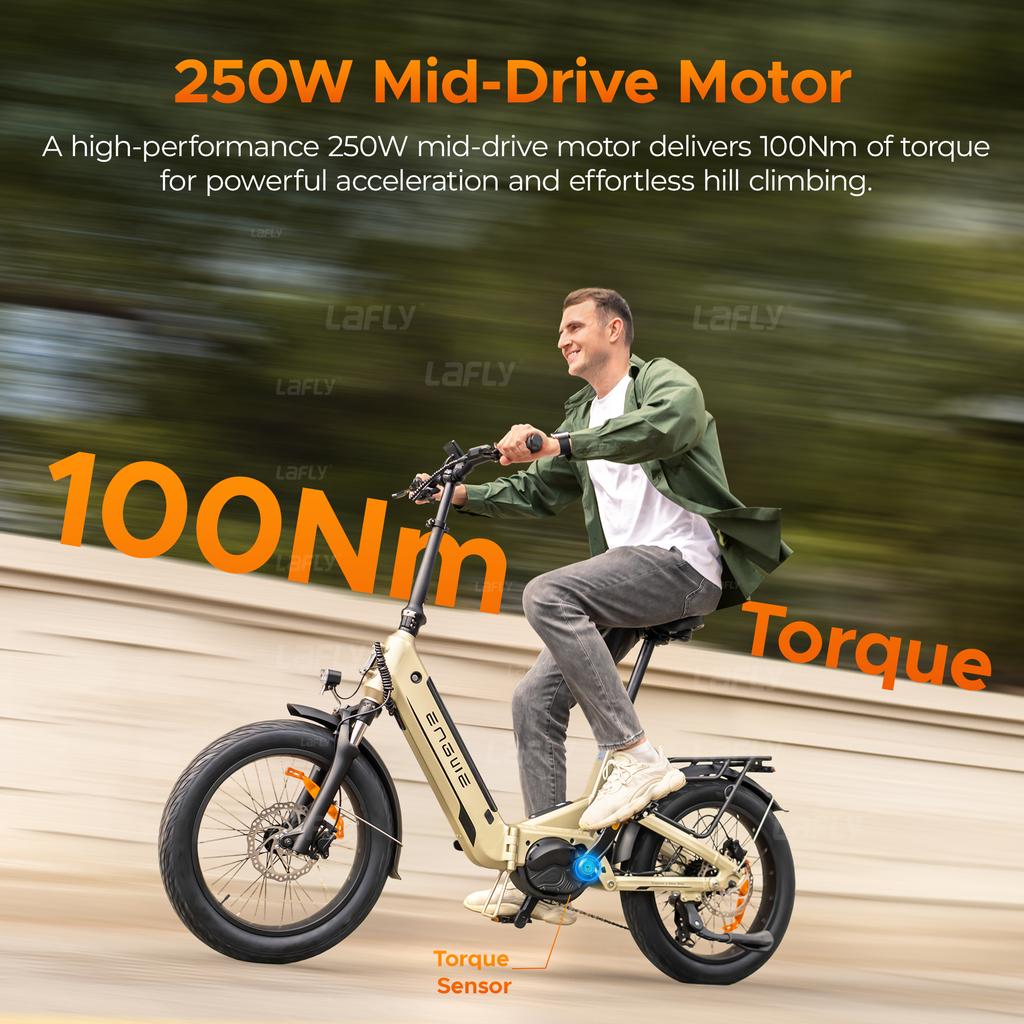 ENGWE L20 3.0 Pro Electric Bicycle 250W Motor 48V15AH Lithium Battery Hydraulic Disc Brake Electric Bike 20*3 inch Tires