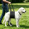 Adjustable Dog Lift Harness Rear Pet Rehab Assist Aid Belt For Elderly Injured Dogs With Weak Rear Legs Walking Recovery Use