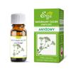 Anise Essential Oil - 10 Ml