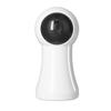 Intelligent Interactive Cat Toy Indoor Automatic Interactive Cat Toy Red Light Funny Cat Toy