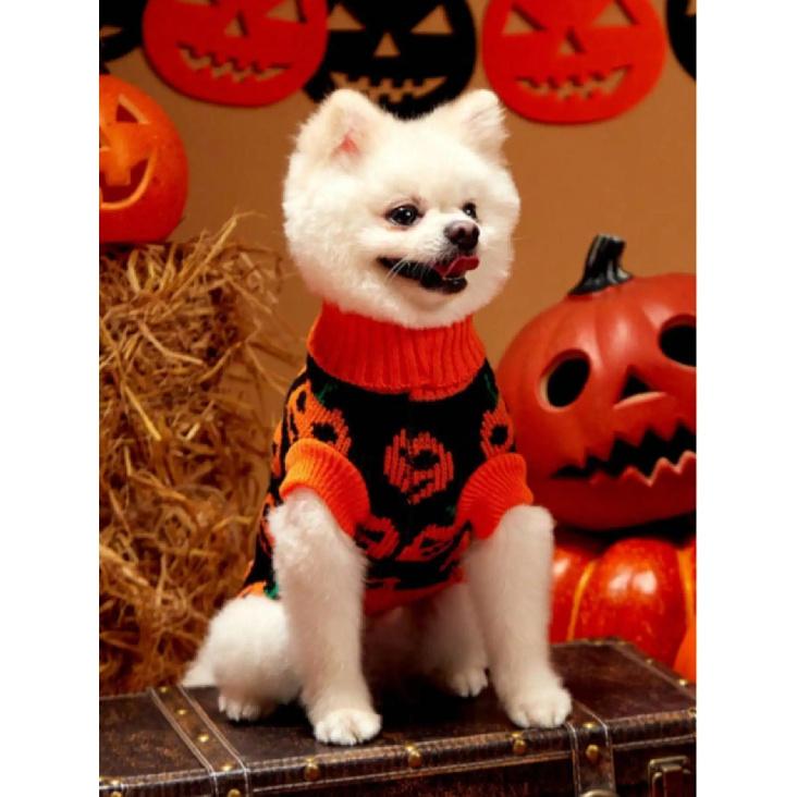 1pc Pumpkin Face Printed Pet Sweater Small And Medium Sized Dog Halloween Ghost Festival Color Blocked Warm Knitted Sweater Pet Clothing