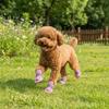 4Pcs/Set Soft Summer Dog Shoes Non-Slip Hollow Puppy Shoes Dog Paw Protector  for Small Medium Dogs