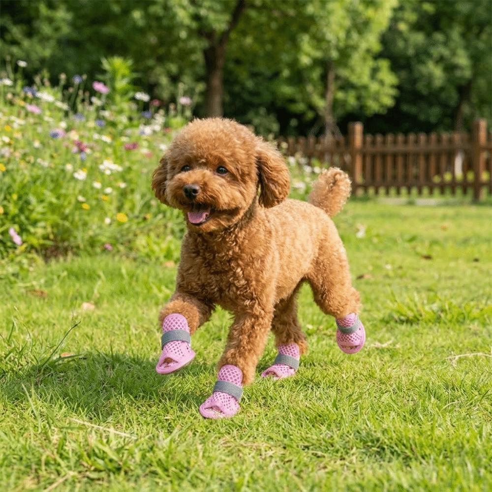 4Pcs/Set Soft Summer Dog Shoes Non-Slip Hollow Puppy Shoes Dog Paw Protector  for Small Medium Dogs