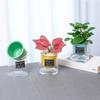 Lazy Hydroponic Flower Pot Automatic Water-Absorbing Flowerpot Transparent Plastic Self Watering Planter Office Desktop Decor