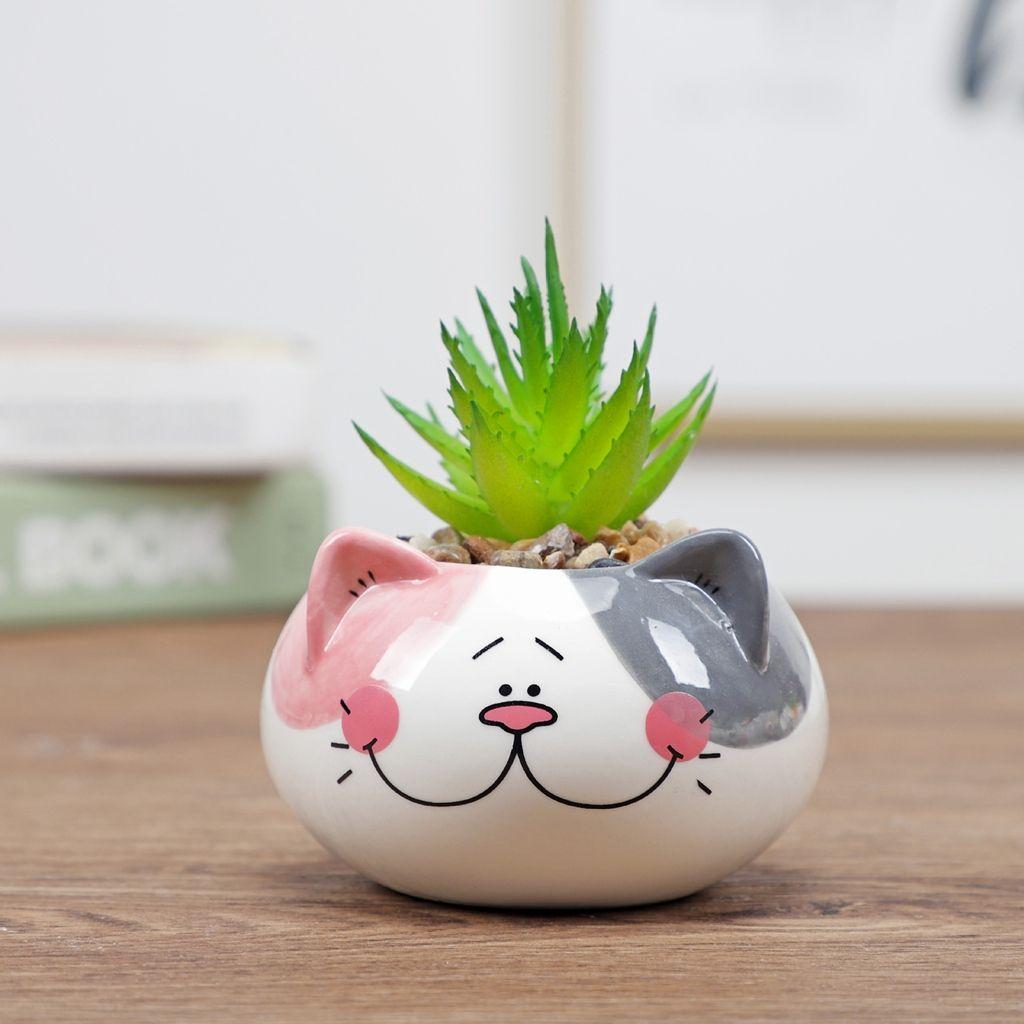 Table Decor Ornament Flower Planter Garden Supplies Bonsai Accessories Flowerpot Succulent Potted