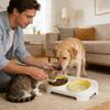 Raised Cat Bowl Spill Proof Non-Slip Pet Feeding Station Dog Food Bowls Elevated Cat Dish For Feeding Kitten Puppy Small Medium