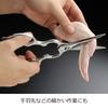 Oaks Disassembled and Washable Stainless Steel Kitchen Scissors Japanese-made