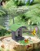 Smart Solar HD Bird Feeder with AI Hummingbird Identification