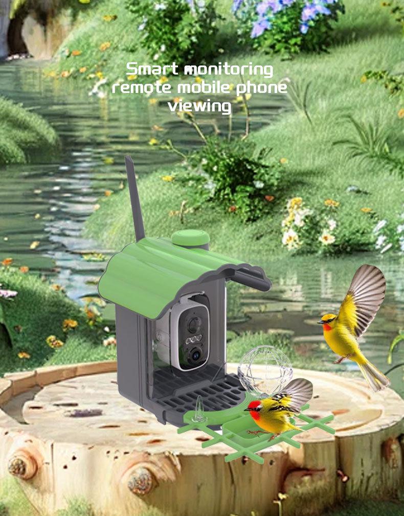 Smart Solar HD Bird Feeder with AI Hummingbird Identification