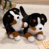 1 Stück 25/45 cm Niedliche Berner Sennenhund Plüschtiere Simulation Hund Plüschtiere Puppen Kawaii Spielzeug Geburtstagsgeschenk