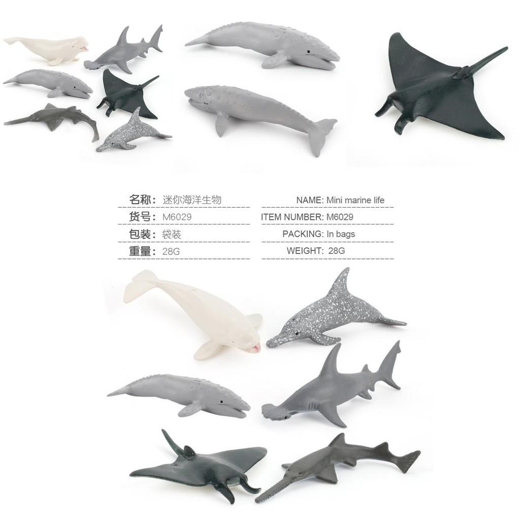 Pvc Ocean Life Dolphin Devil Fish Beluga Shark Realistic Model Collectible Display Figurine