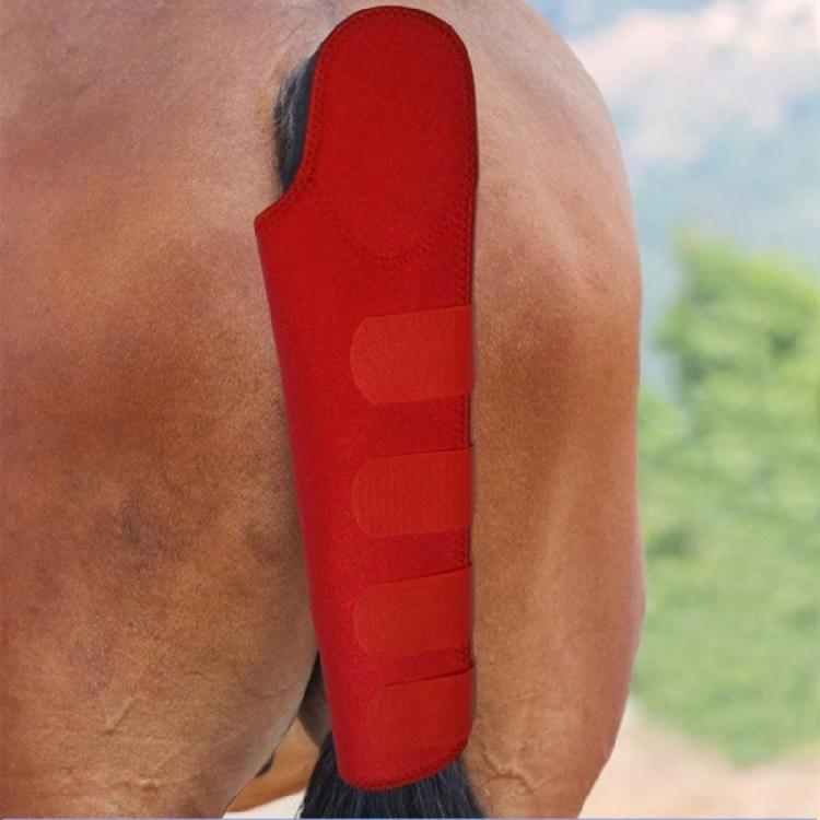 Tear Resistant Equine Tail Guard Features Soft Paddings And Adjustable Closures for Show Ready Presentation