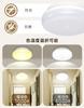 [hidemasa] Compact Ceiling Light with Motion Sensor, Light Sensor, Outlet, Automatic OnOff, Brightness Sensing, Night Light, Slim, Indoor Lighting