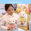 Fruit Pig Pineapple Strawberry Plush Toy Pig Doll Stuffed Animal Cushion