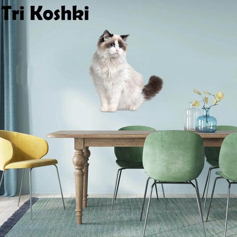 Tri koshki RC035 Anime Dog Ragdoll Sticker Waterproof PVC Decoration Door Living Room Kids Room