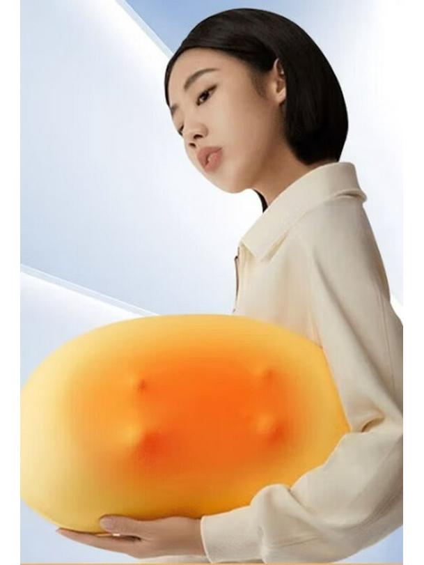 

PGG W6 Rechargeable Waist and Back Massager