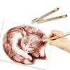 Kit 12pcs Brown Color Fineliner Markers For Animation Drawing, Waterproof Brown Fine Tip Pen